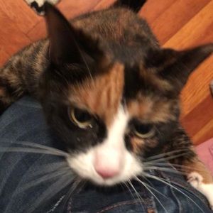 Meet your Posher, Chrissy